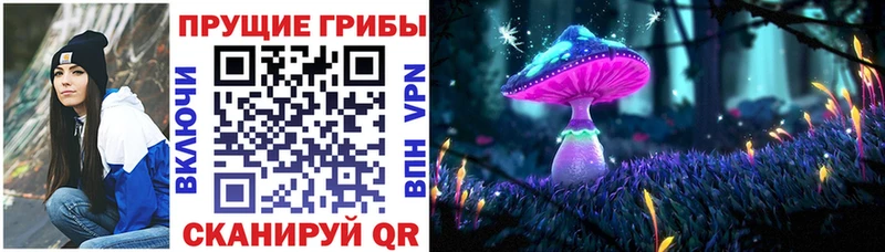 сайты даркнета Telegram  где продают   Барнаул  Псилоцибиновые грибы ЛСД 